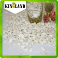 All size snow white pumpkin seeds is available